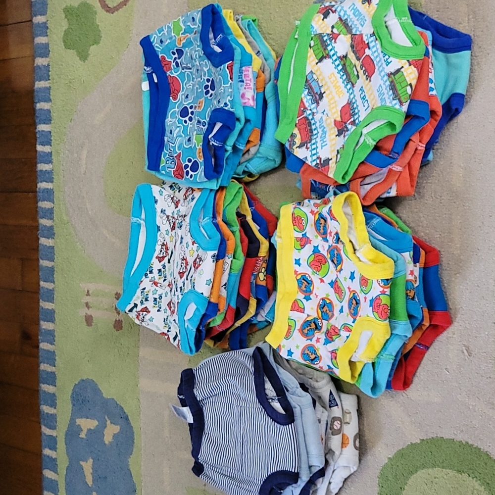 Potty Training Underwear Lot